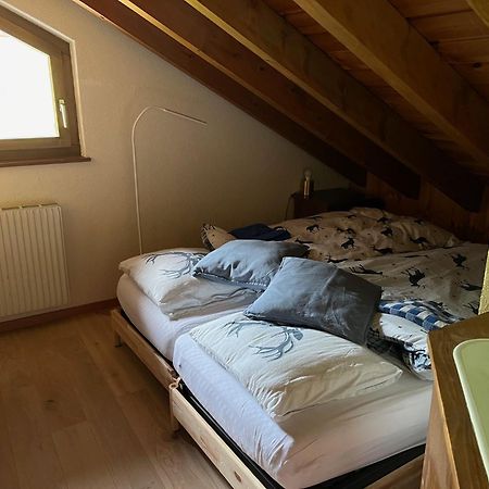 Chalet Les Rhodos Appartement Le Yeti Les Crosets Kültér fotó